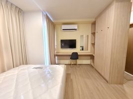 Studio Condo for rent at The Muve Kaset, Lat Yao
