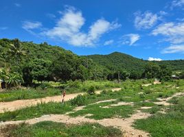  Grundstück zu verkaufen in Pran Buri, Prachuap Khiri Khan, Pak Nam Pran