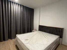 1 Schlafzimmer Appartement zu vermieten im IDEO New Rama 9, Hua Mak, Bang Kapi, Bangkok, Thailand