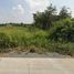  Land for sale in Pathum Thani, Na Mai, Lat Lum Kaeo, Pathum Thani