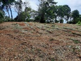  Land for sale in Bang Pit, Laem Ngop, Bang Pit