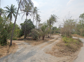  Grundstück zu verkaufen in Mueang Chon Buri, Chon Buri, Nong Ri