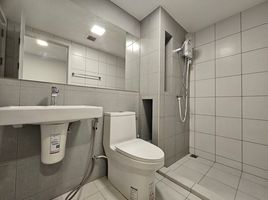 Studio Penthouse for rent at Plum Condo Sukhumvit 62, Bang Chak, Phra Khanong