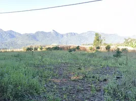  Land for sale in Mae Na Toeng, Pai, Mae Na Toeng