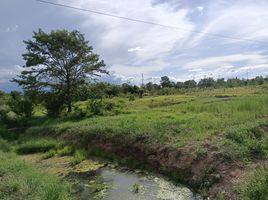  Land for sale in Kritsana, Sikhio, Kritsana