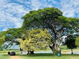  Land for sale at Sir James Resort and Country Club, Mittraphap