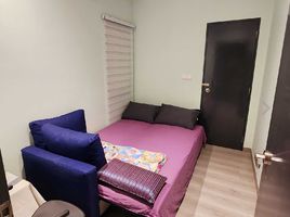 Studio Penthouse for rent at Sky Habitat, Kebun bahru, Ang mo kio