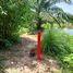  Land for sale in Don Sak Surat Thani, Don Sak, Don Sak