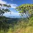  Land for sale in Guanacaste, Santa Cruz, Guanacaste