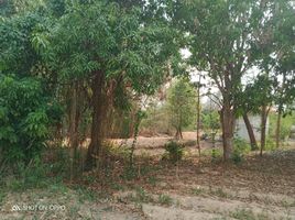  Land for sale in Wo Kaeo, Hang Chat, Wo Kaeo