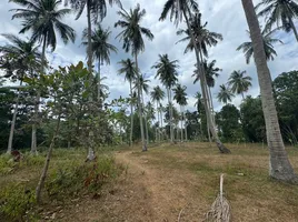 Land for sale in Mai Khao, Phuket, Mai Khao, Thalang