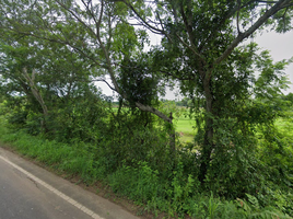  Land for sale in Phibun Mangsahan, Ubon Ratchathani, Don Chik, Phibun Mangsahan