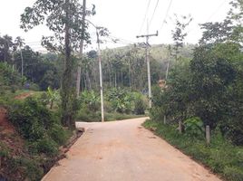  Land for sale in Taling Ngam, Koh Samui, Taling Ngam