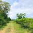  Land for sale in Kanchanaburi, Wang Dong, Mueang Kanchanaburi, Kanchanaburi