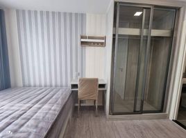 1 Schlafzimmer Wohnung zu vermieten im Atmoz Tropicana Bangna, Bang Na