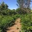  Grundstück zu verkaufen im Liberia, Liberia, Guanacaste