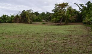 N/A Land for sale in Tha Khao Plueak, Chiang Rai 