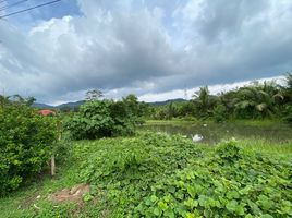  Grundstück zu verkaufen in Thalang, Phuket, Thep Krasattri