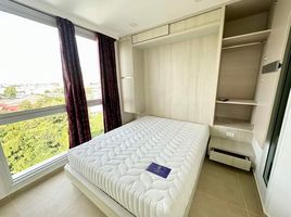 1 Schlafzimmer Appartement zu vermieten im Olympus City Garden , Nong Prue