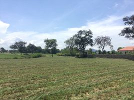  Land for sale at Phoenix Golf Villa, Huai Yai, Pattaya