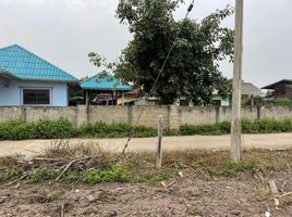  Land for sale in Wiang, Wiang Pa Pao, Wiang