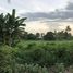  Land for sale in Mueang Lop Buri, Lop Buri, Talung, Mueang Lop Buri