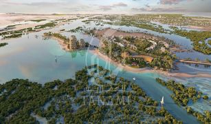 N/A Grundstück zu verkaufen in Saadiyat Beach, Abu Dhabi Al Jubail Island