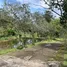  Retail space for rent in Cartago Cartago, Cartago, Cartago, Costa Rica