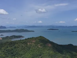  Grundstück zu verkaufen in Takua Thung, Phangnga, Lo Yung, Takua Thung