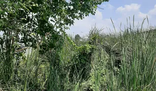 佛统 Tha Tamnak N/A 土地 售 