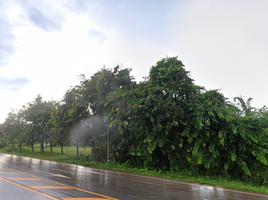  Grundstück zu verkaufen in Mueang Bueng Kan, Bueng Kan, Chaiyaphon, Mueang Bueng Kan, Bueng Kan