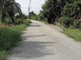  Land for sale in San Pa Tong, Chiang Mai, San Klang, San Pa Tong