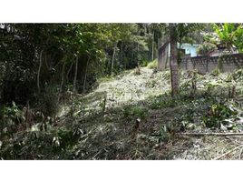  Land for sale in Rio de Janeiro, Teresopolis, Teresopolis, Rio de Janeiro