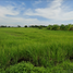  Land for sale in Nakhon Nayok, Pak Phli, Pak Phli, Nakhon Nayok