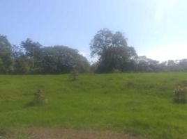  Land for sale in Horconcitos, San Lorenzo, Horconcitos