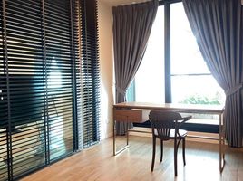 3 Bedroom Condo for rent at Lily House , Khlong Toei Nuea, Watthana