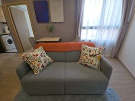 1 Bedroom Condo for rent at THE BASE Bukit, Wichit, Phuket Town
