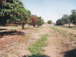 ขายที่ดิน ใน เมืองหนองคาย หนองคาย, หาดคำ, เมืองหนองคาย