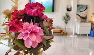 Таунхаус, 2 спальни на продажу в Suthep, Чианг Маи 