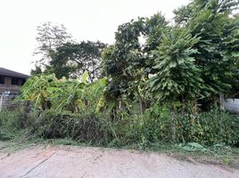  Land for sale in Sila, Mueang Khon Kaen, Sila