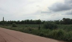 N/A Grundstück zu verkaufen in Nong Ki, Prachin Buri 