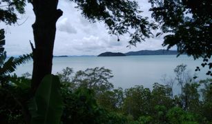 N/A Land for sale in Thep Krasattri, Phuket 