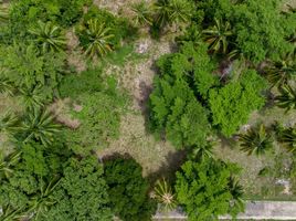  Land for sale in Koh Samui Hospital, Ang Thong, Ang Thong