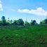  Land for sale at Uvita, Osa