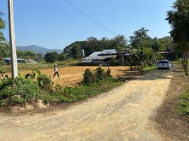  Grundstück zu verkaufen in Doi Saket, Chiang Mai, Choeng Doi