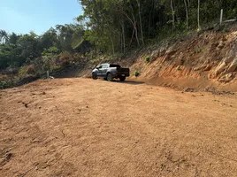  Grundstück zu verkaufen in Koh Samui, Surat Thani, Taling Ngam