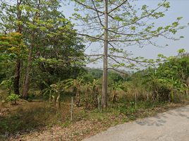  Grundstück zu verkaufen in Thong Pha Phum, Kanchanaburi, Hin Dat