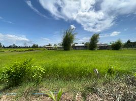  Grundstück zu verkaufen in Mueang Roi Et, Roi Et, Khon Kaen, Mueang Roi Et