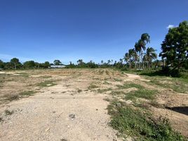  Land for sale in Ban Bueng School, Huai Yai, Huai Yai