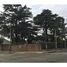  Land for sale in Vicente Lopez, Buenos Aires, Vicente Lopez